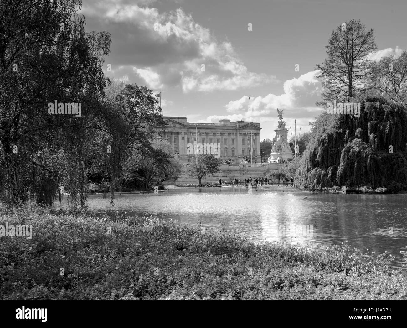 Buckingham-Palast von St. James Park, London, England, Vereinigtes Königreich Stockfoto