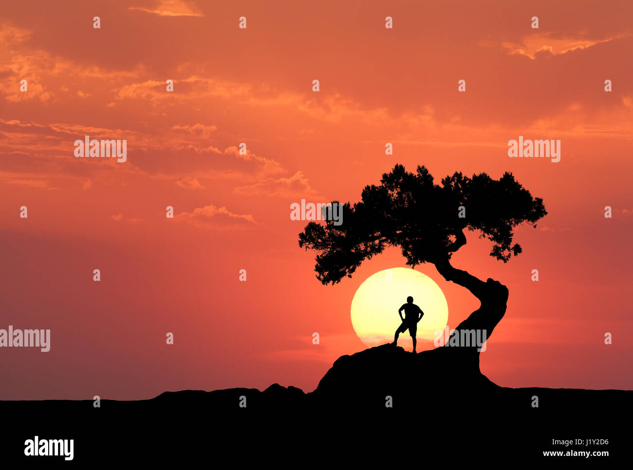 Mann unter dem alten Baum auf dem Hintergrund der gelben Sonne. Silhouette eines stehenden sportlichen Mannes auf den Berg und bunten orangefarbenen Himmel mit Wolken Stockfoto