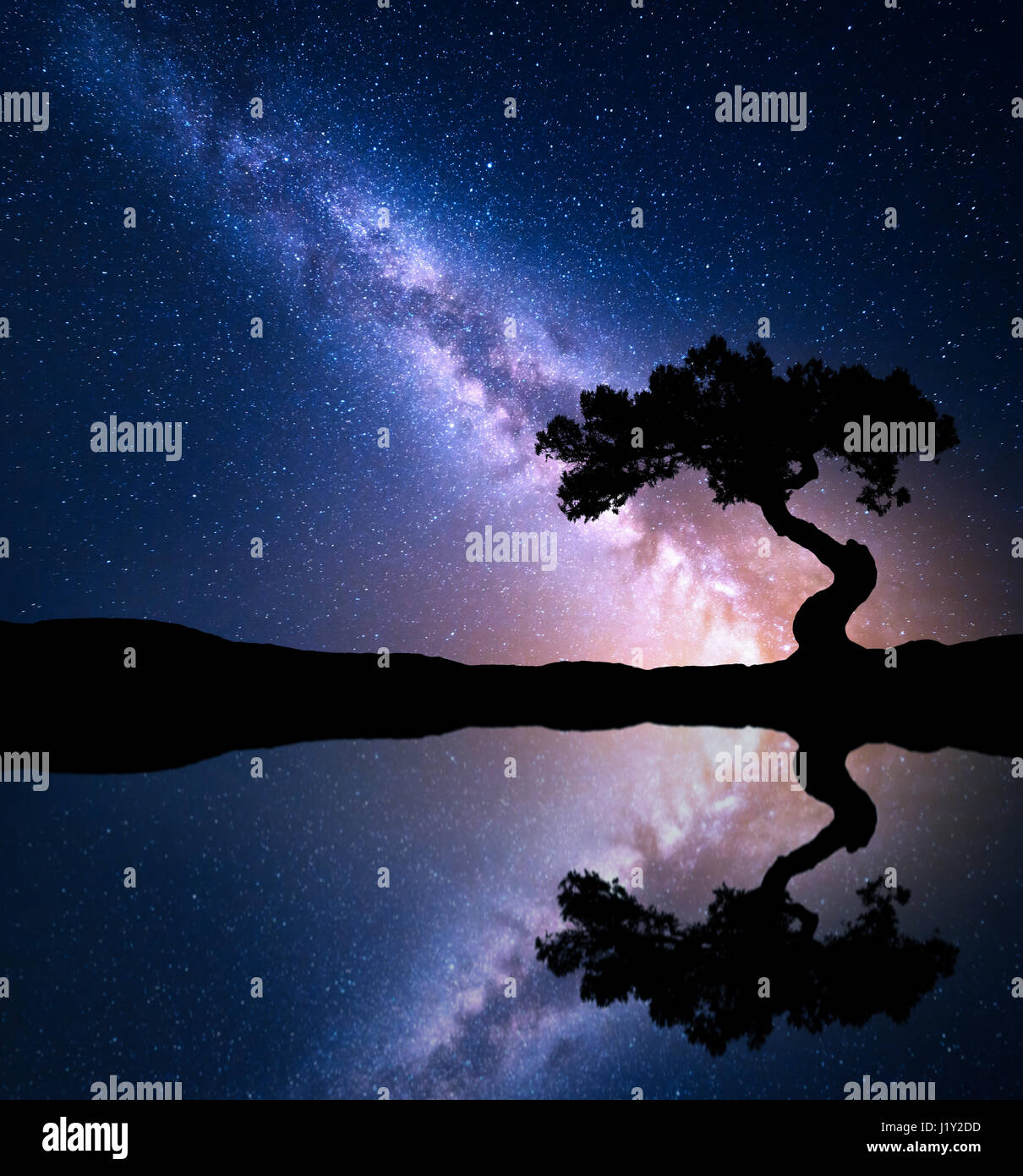 Nachtaufnahme mit Milky Way und alten Baum auf dem Berg nahe dem See mit Himmel mit Sternen Spiegelung im Wasser. Nacht Landcscape mit hellen Milchstraße Stockfoto