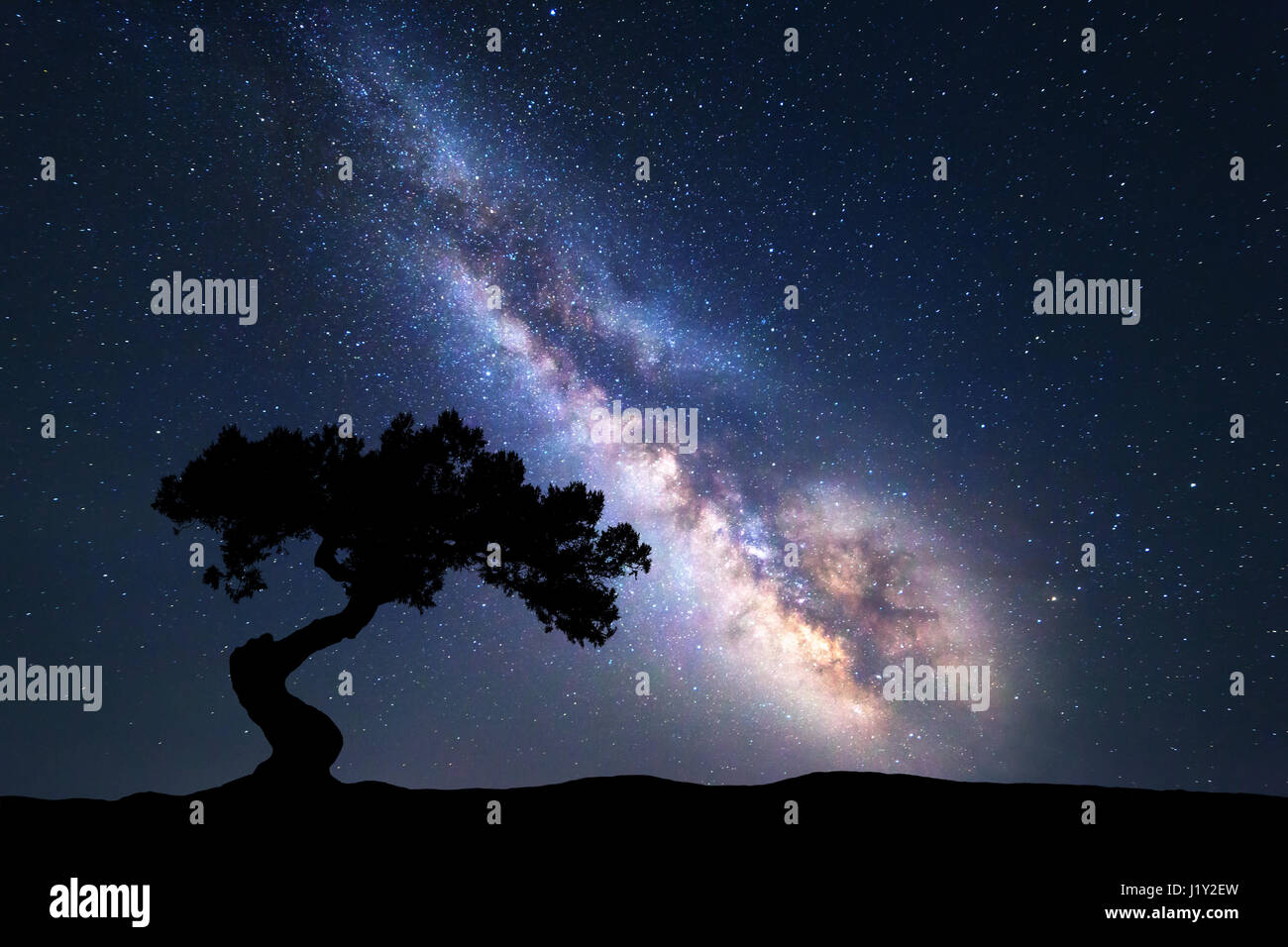 Milky Way mit allein alten Baum auf dem Hügel. Bunte Nacht-Landschaft mit Milky Way, Himmel mit Sternen und Hügeln im Sommer. Weltraum Hintergrund Stockfoto