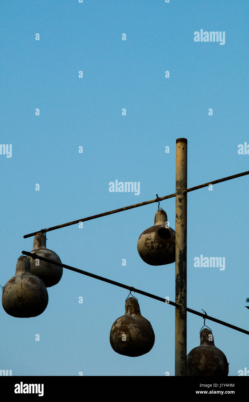 Abstrakte, künstlerische Bilder von Lila Martin (Progne Subis) birdhouses Stockfoto