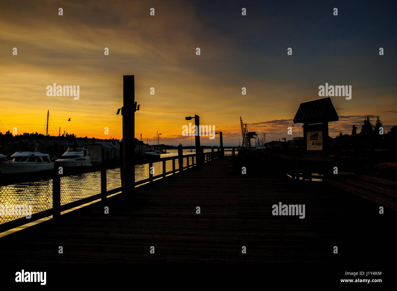 Marina bei Sonnenuntergang, Olympia, Washington, USA Stockfoto