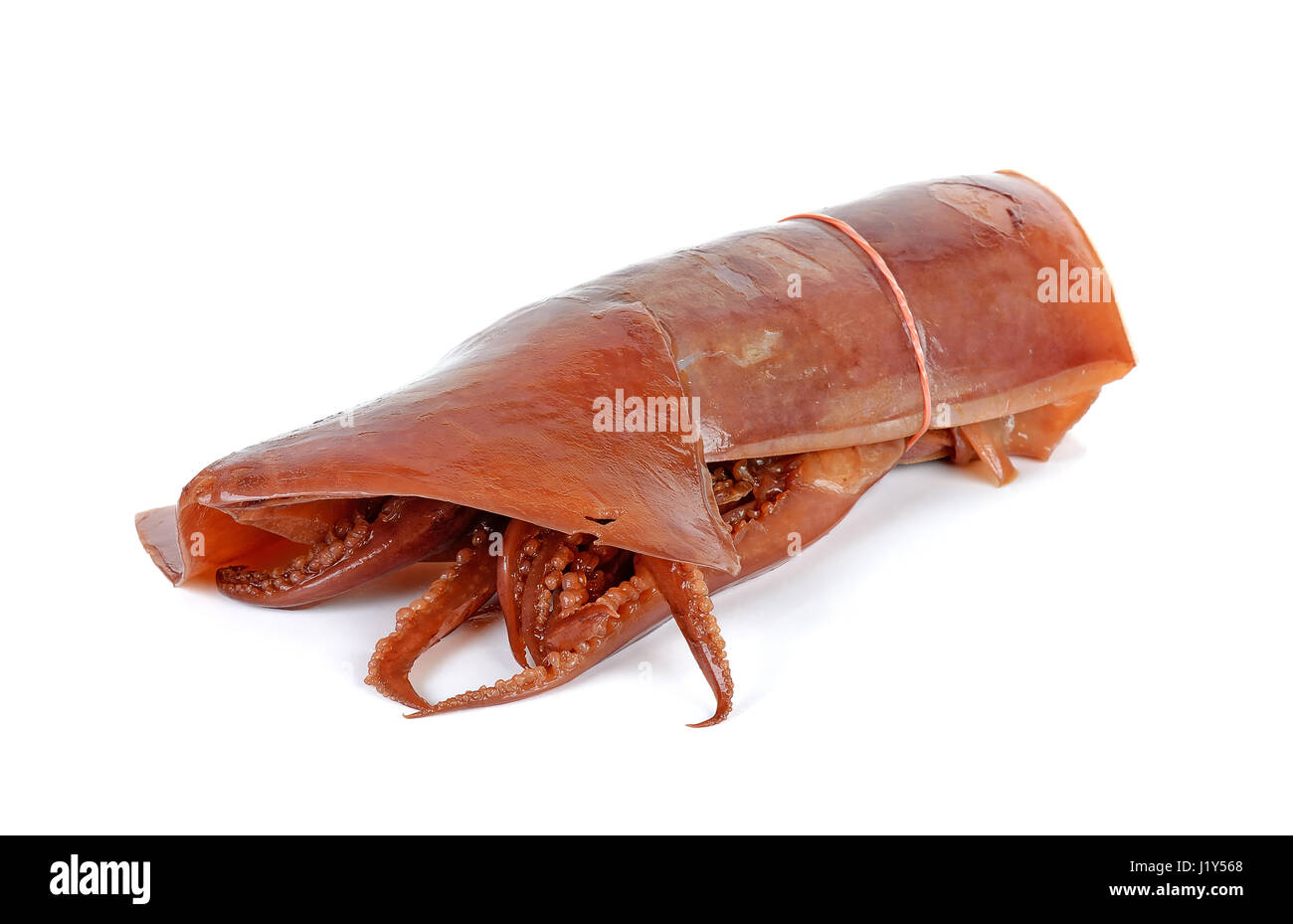 Genießen Sie auf dem weißen Hintergrund isoliert Tintenfisch. Stockfoto