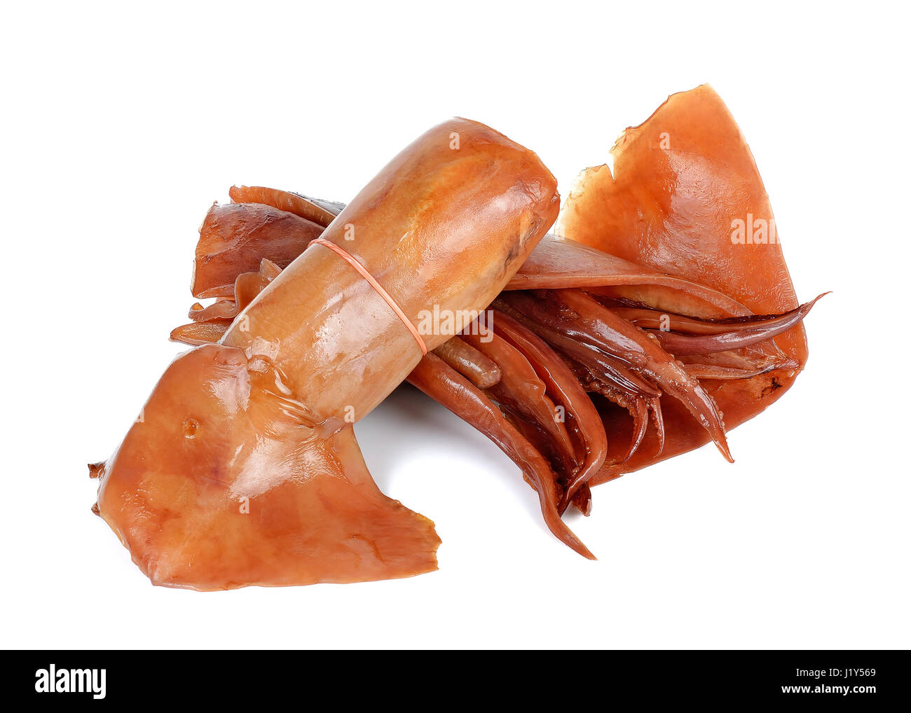 Genießen Sie auf dem weißen Hintergrund isoliert Tintenfisch. Stockfoto