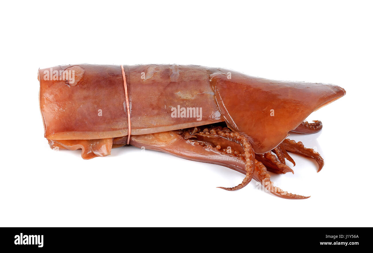 Genießen Sie auf dem weißen Hintergrund isoliert Tintenfisch. Stockfoto