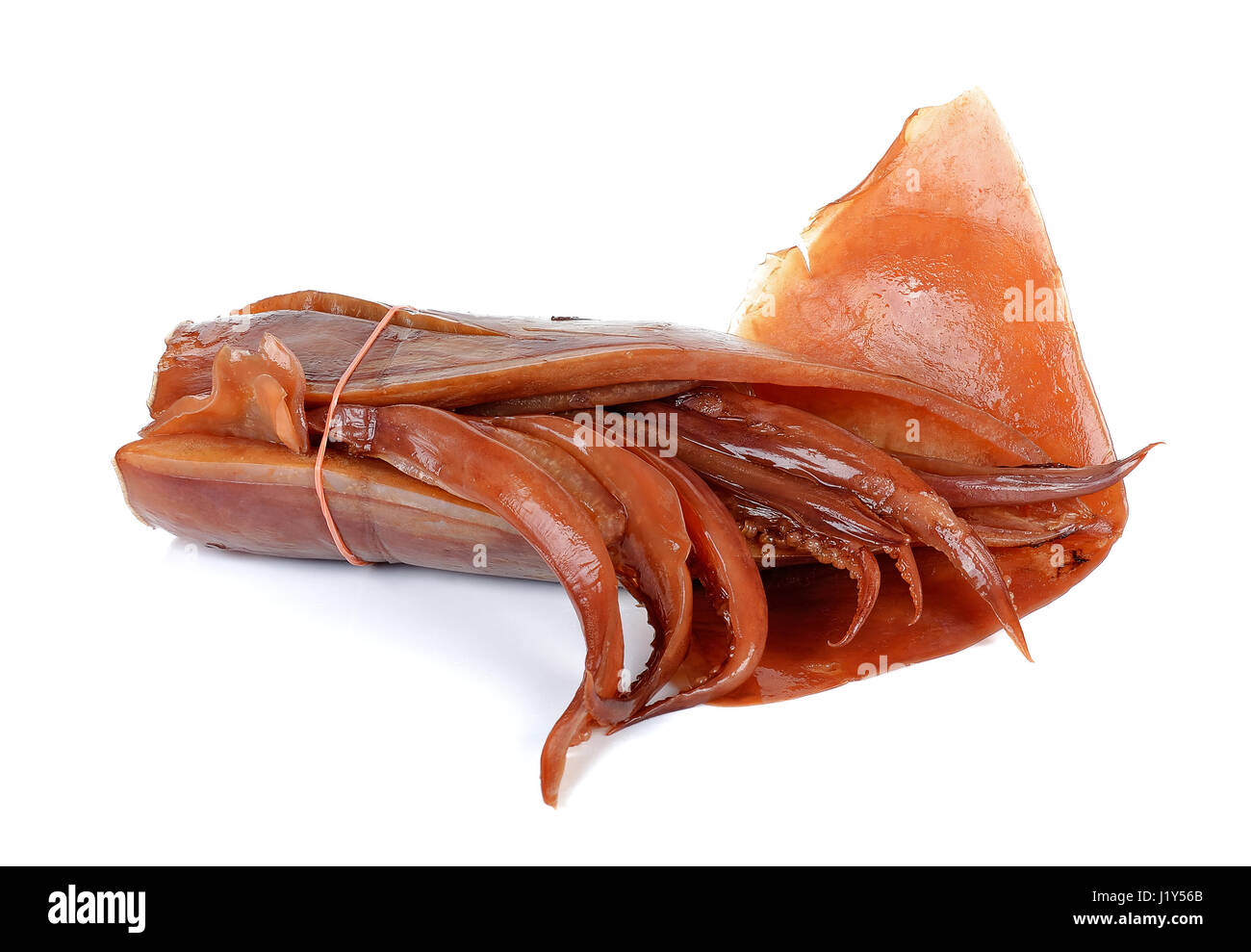 Genießen Sie auf dem weißen Hintergrund isoliert Tintenfisch. Stockfoto
