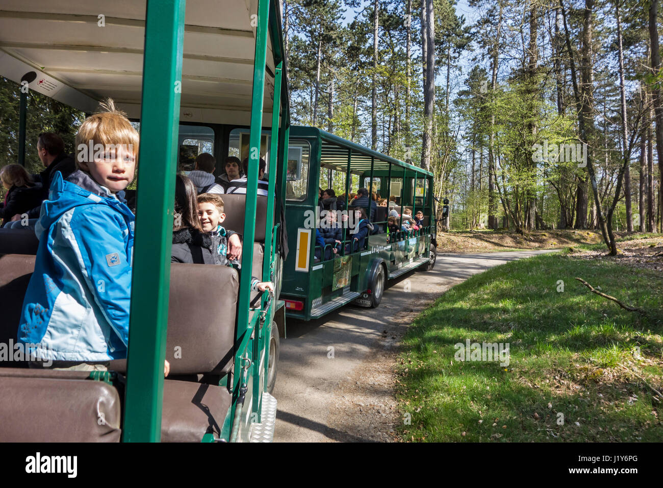 Safari Zug mit Besuchern im Wildpark in der Domäne der Grotten von Han, Han-Sur-Lesse, Ardennen, Belgien Stockfoto