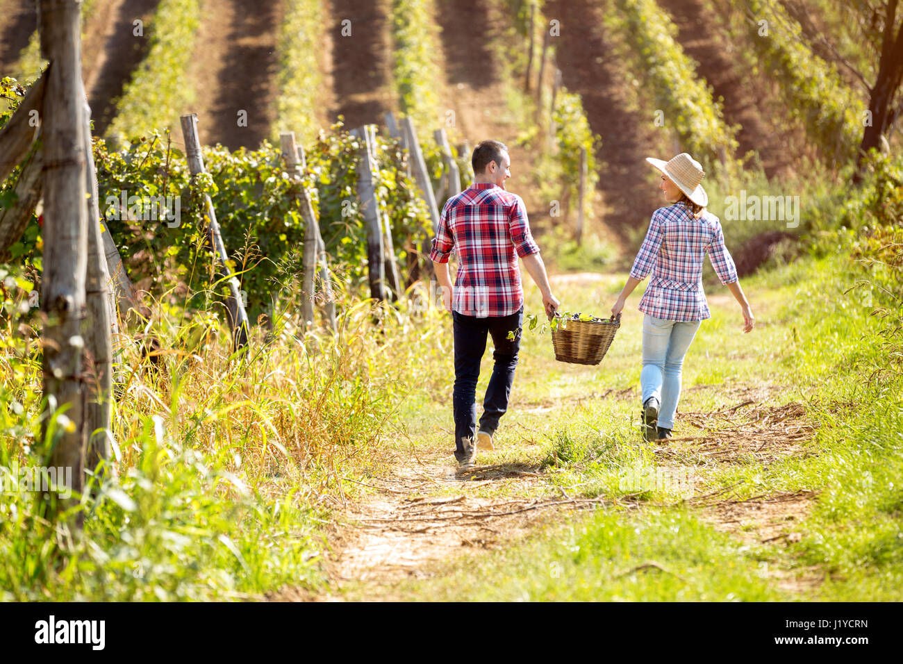 paar, ein Spaziergang durch die Weinberge und untereinander halten einen Weidenkorb mit Trauben, Rückansicht Stockfoto