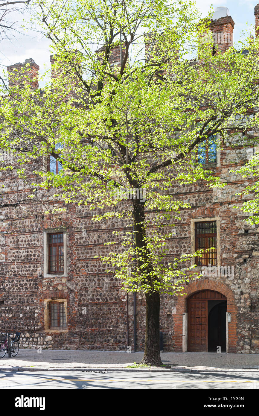 Reisen Sie nach Italien - Blick auf Cittadella Wand (Zitadelle Bezirk) von Largo Divisione Pasubio Straße in Verona Stadt im Frühjahr Stockfoto