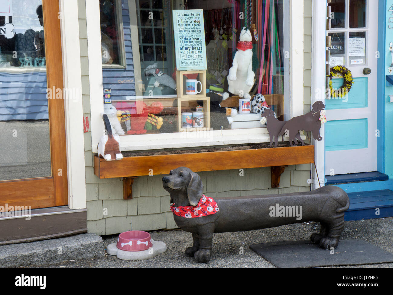 Ein lustiger Hund Bank außerhalb der Good Dog Gallery, eine Art & Geschenk Shop für Hundeliebhaber in Rockport, Massachusetts. Stockfoto