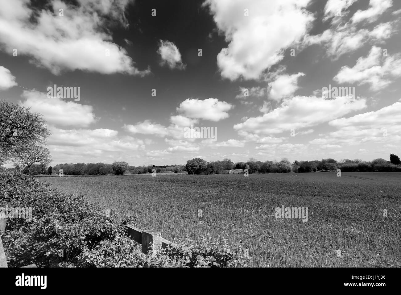 Ashton in Makerfield Landschaften April 2017, zeigen verschiedene open Space, Felder und Himmel an einem sonnigen Tag Stockfoto