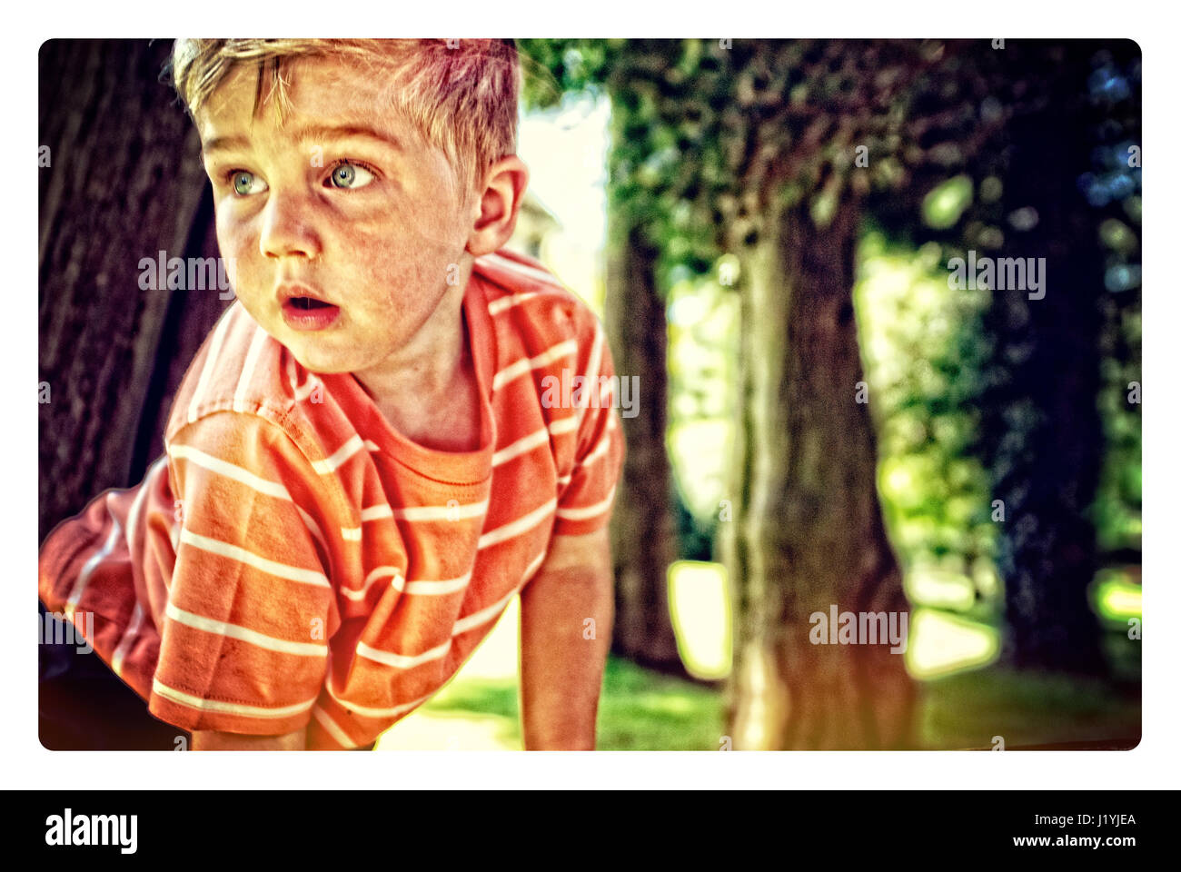 Ein kleiner Junge, zu erforschen und auf Bäume klettern Stockfoto