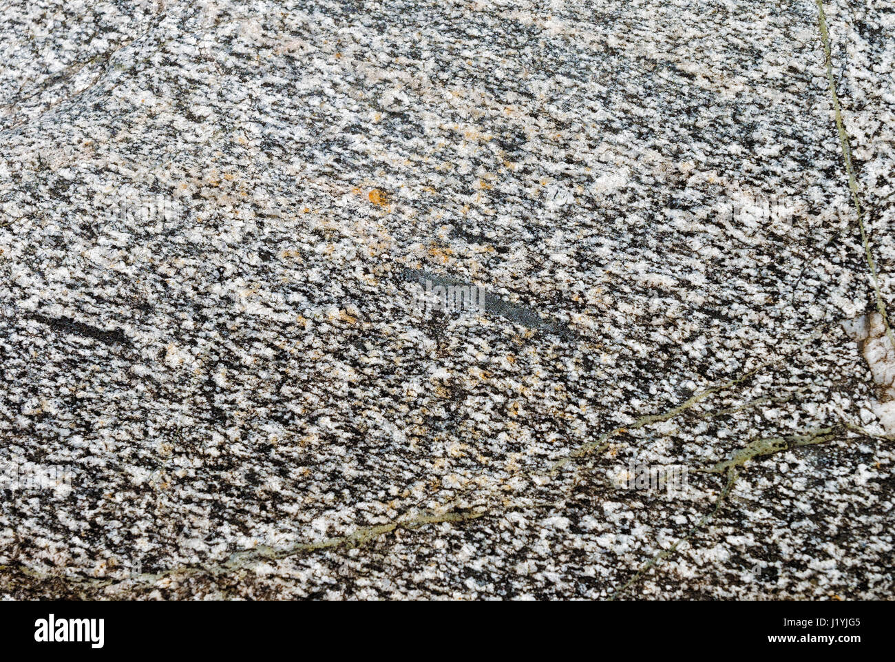 Struktur des natürlichen Steins von der Küste des Telezkoje-See Stockfoto