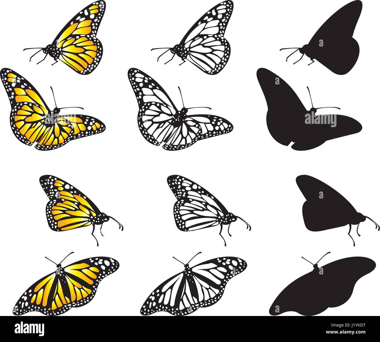 Schmetterling-Illustrationen (Vektor) Stock Vektor
