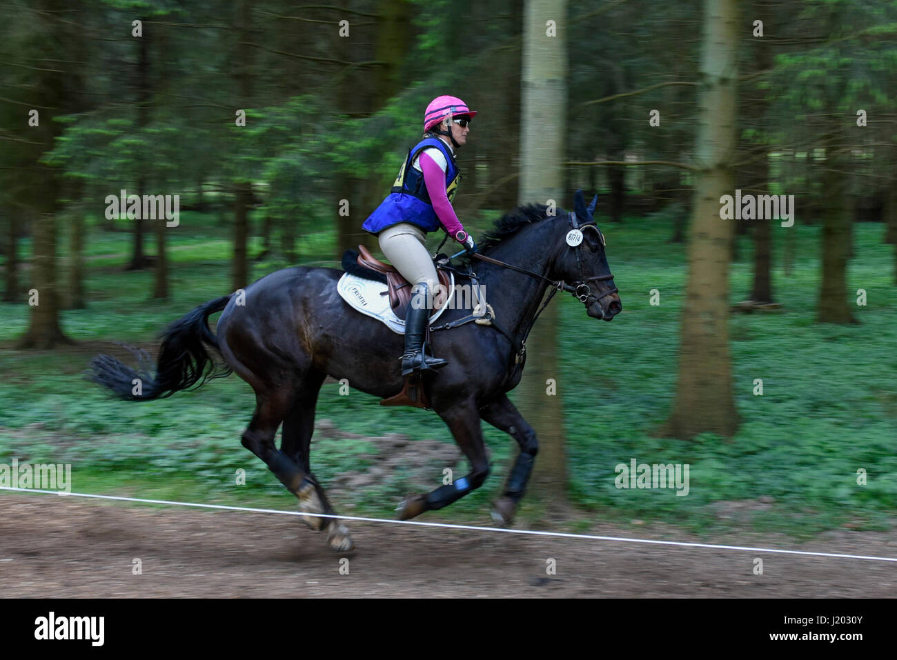 Henley on Thames, Großbritannien.  23. April 2017.  Teilnahme an der Hambleden Horse Trials.  Feiert seinen 20. Geburtstag, umfasst die Eventing Konkurrenz Disziplinen Dressur, Springreiten und ein Langlauf-Element durch Bluebell Wald stattfindet.   Bildnachweis: Stephen Chung / Alamy Live News Stockfoto