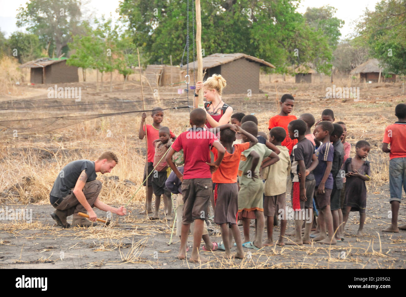 Einrichten von Ausrüstung für die Fledermaus-Umfrage in Afrika Stockfoto