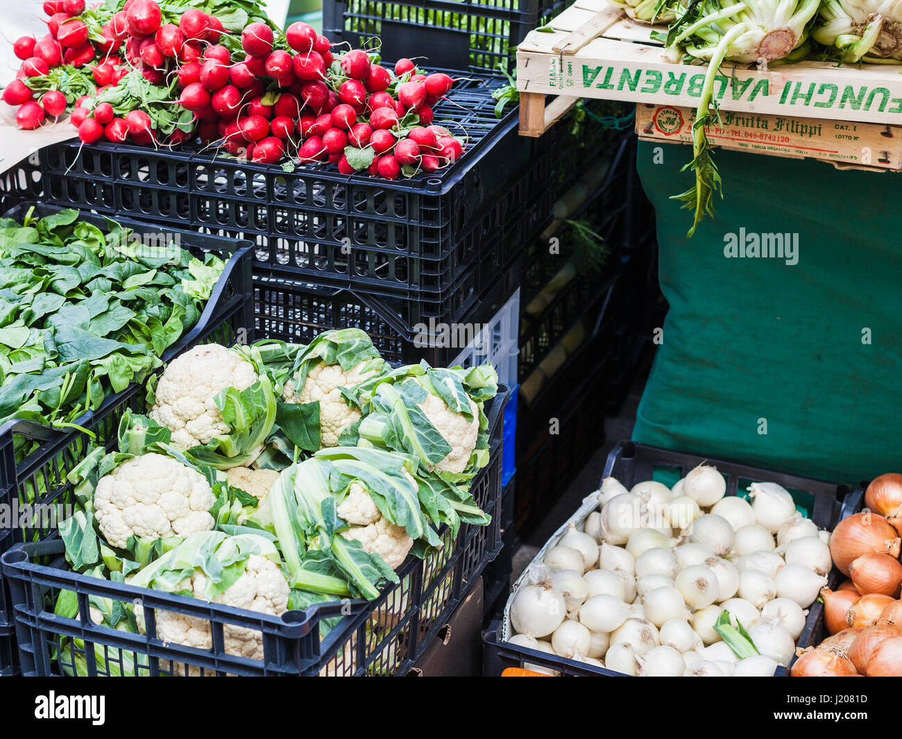 PADUA, Italien - 1. April 2017: frisches italienisches ...