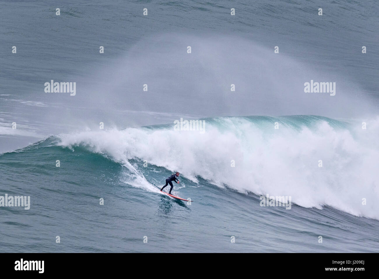 Surfer am Surfbrett Reiten Welle, Nazare, Portugal, Europa Stockfoto