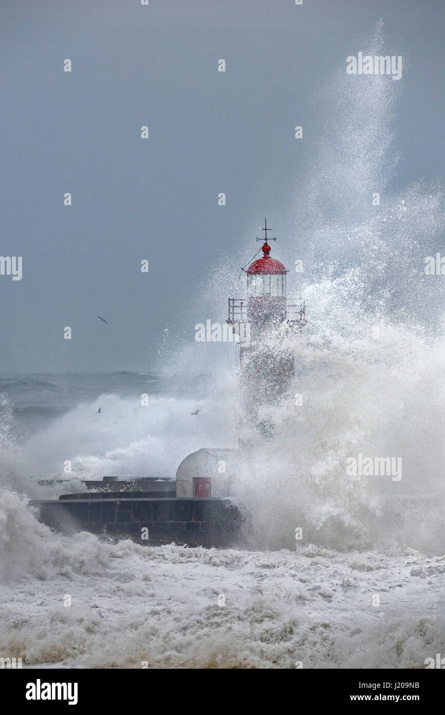 Leuchtturm von Porto mit Sturm, Portugal, Europa Stockfoto