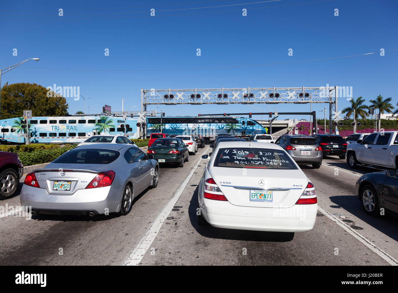 Hollywood, Fl, USA - 21. März 2017: Autos gefundenes Fressen für einen Zug an einem Bahnübergang in Hollywood vorbei. Florida, United States Stockfoto