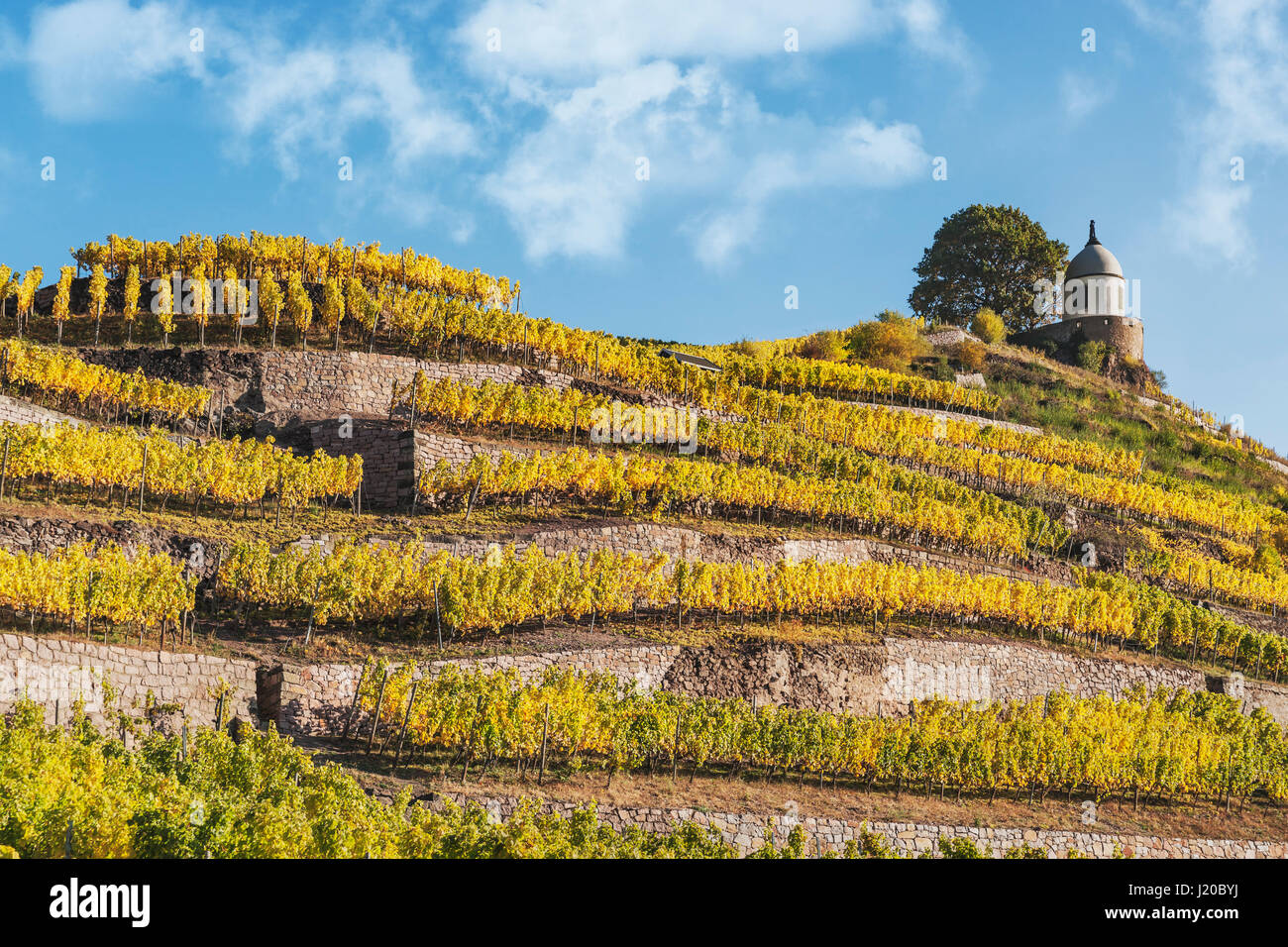 Der Jacobstein ist ein WeinbergPavillon in der Nähe von Schloss