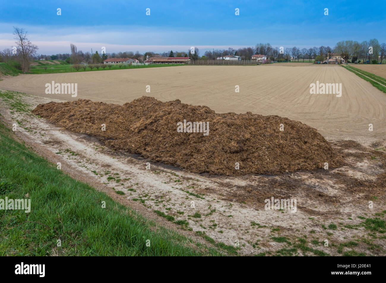 Dnger aus Kuhdung und Stroh. Haufen von Dnger, getroffen worden auf dem  Feld im zeitigen Frhjahr Felder zu dngen Stockfotografie - Alamy