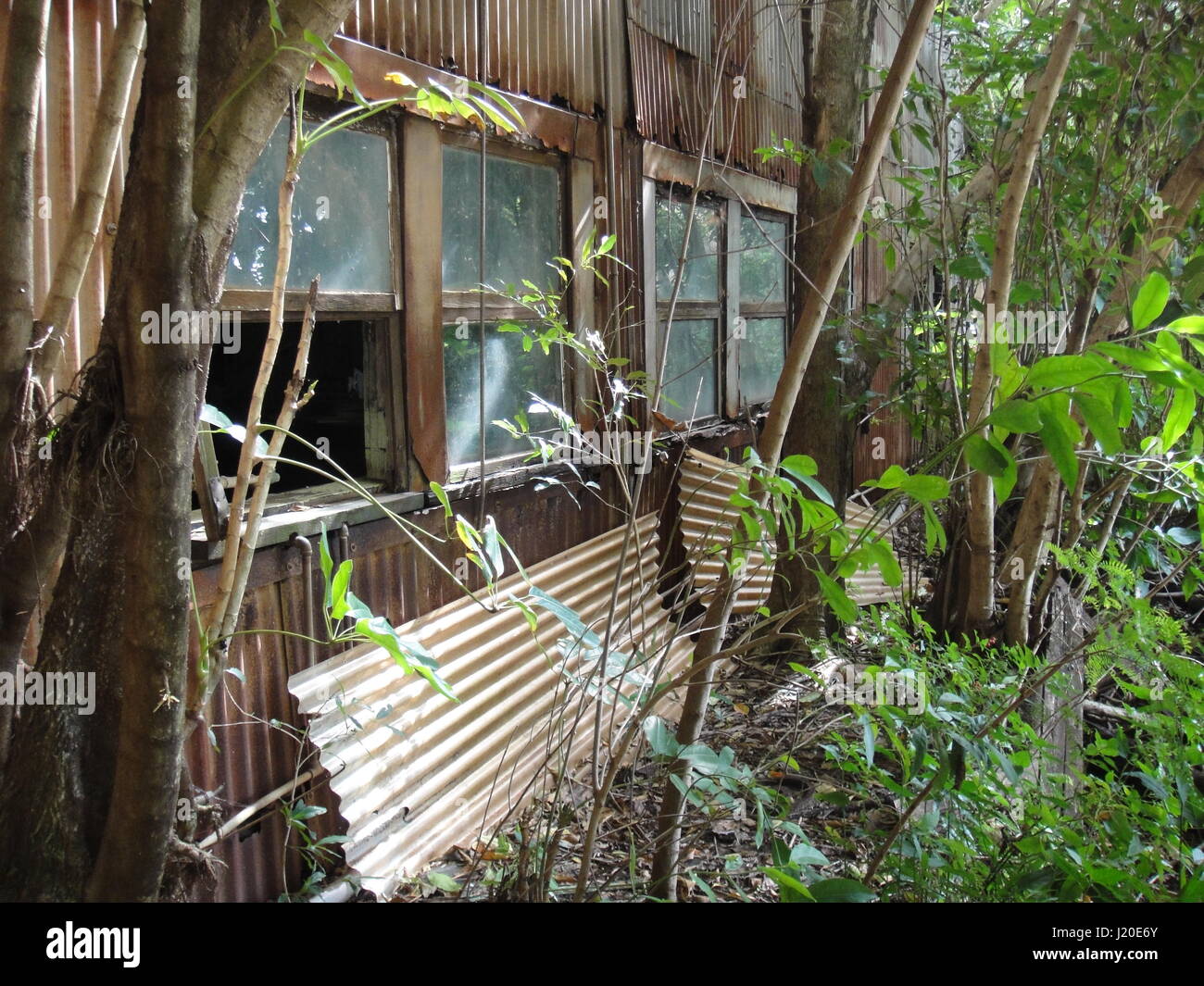 Verlassenen Schuppen außen Stockfoto