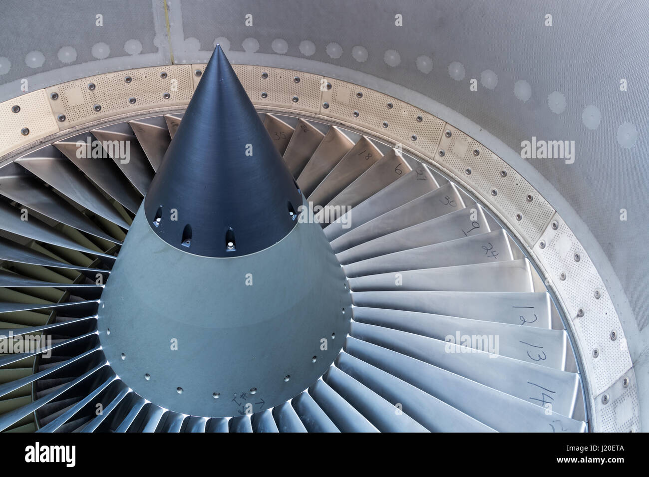 Innerhalb einer größeren Jet-Engine-Aufnahme finden Sie diese Blätter. Stockfoto