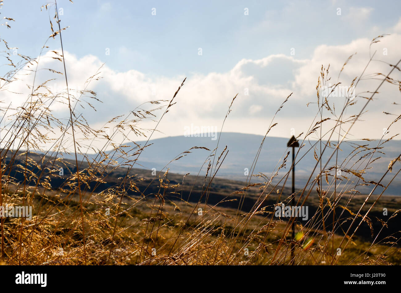 Wiese, getrocknete Gräser und weiße Wolken in den Bergen Stockfoto