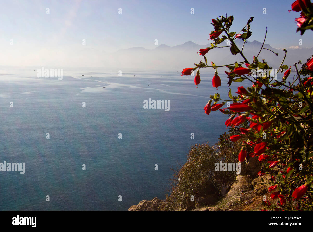 Sonnenaufgang über dem Mittelmeer, umgeben von Bergen mit roten Blumen im Vordergrund in Antalii Stockfoto