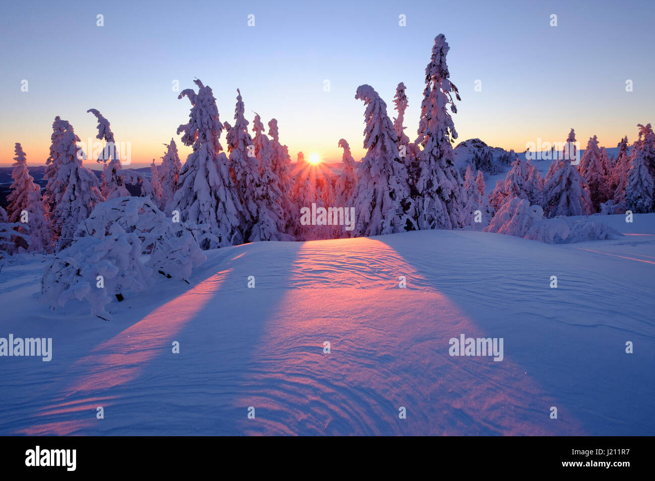 Raummotive, Arbermandl, Verschneite Fichten, Großer Arber, Naturpark Bayerischer Wald, Niederbayern, Bayern, Deutschland Stockfoto