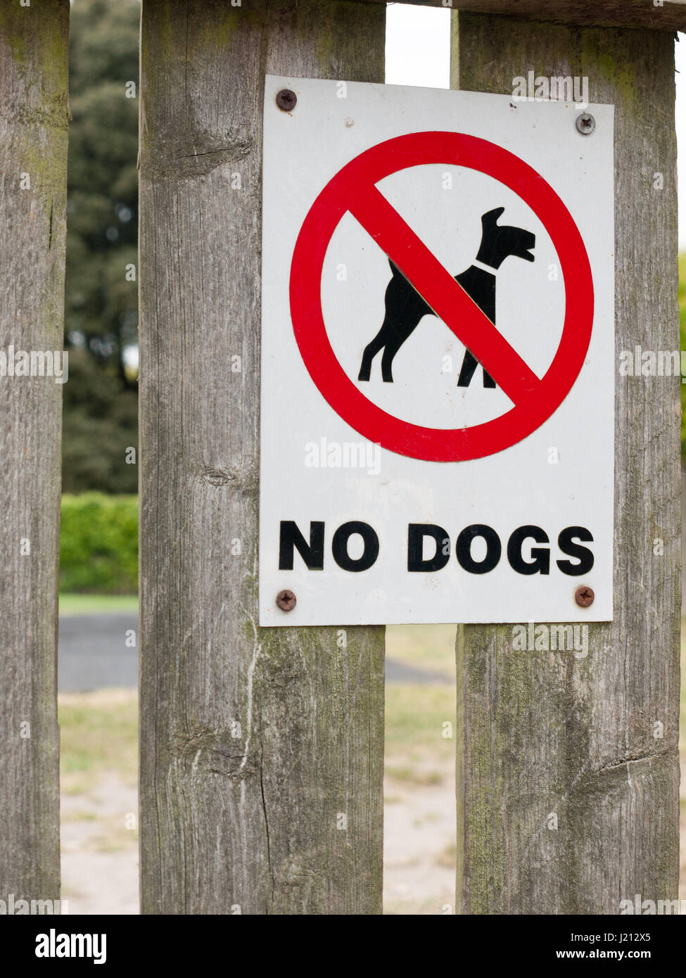 Schild 'Keine Hunde' – Vinyl-Aufkleber, Silber, Für Innen/Außen
