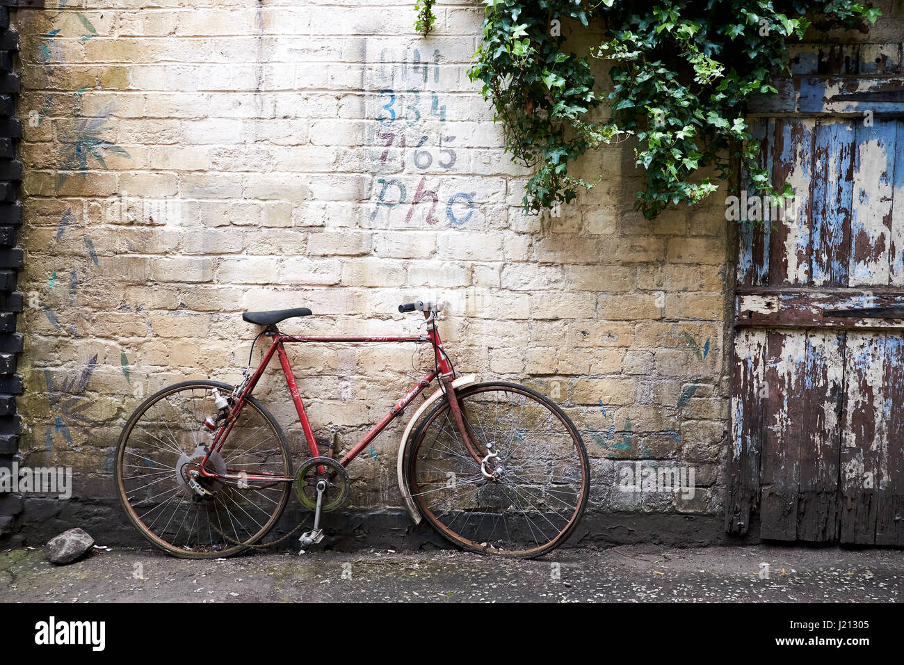 Rotes Fahrrad gelehnt eine Creme Wand mit Holztür und Laub beschädigt Stockfoto