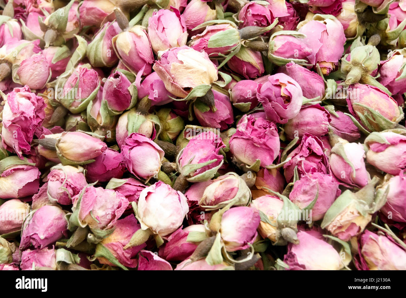 Trockenen Rosenknospen, gesunde Kräuter-Tee-Hintergrund. Stockfoto