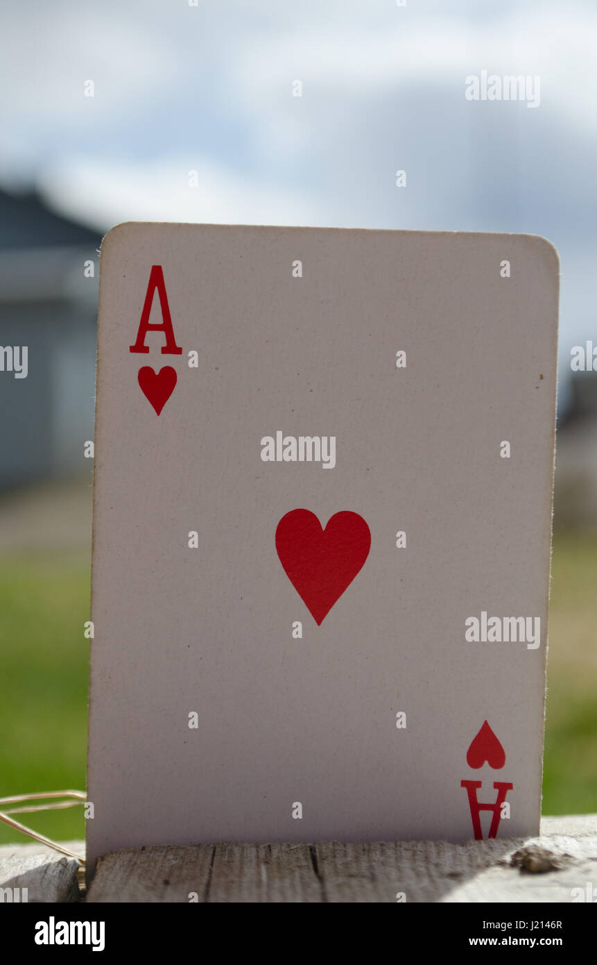 Nahaufnahme von Ace of Hearts Spielkarte in Holzbrett stecken Stockfoto