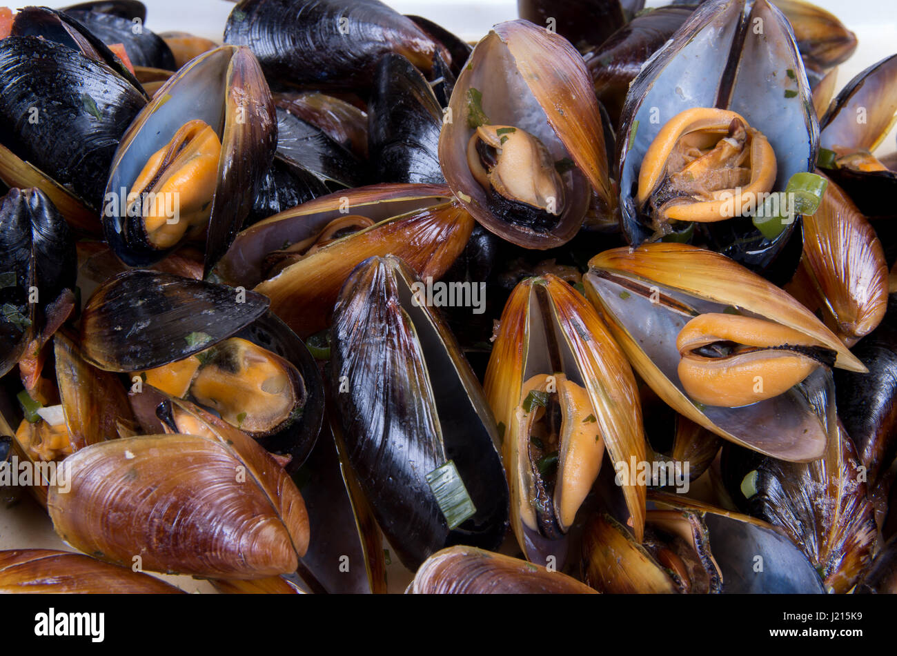 Meer-Geschenk. Portion gekochte Muscheln mit weißer Soße. Stockfoto