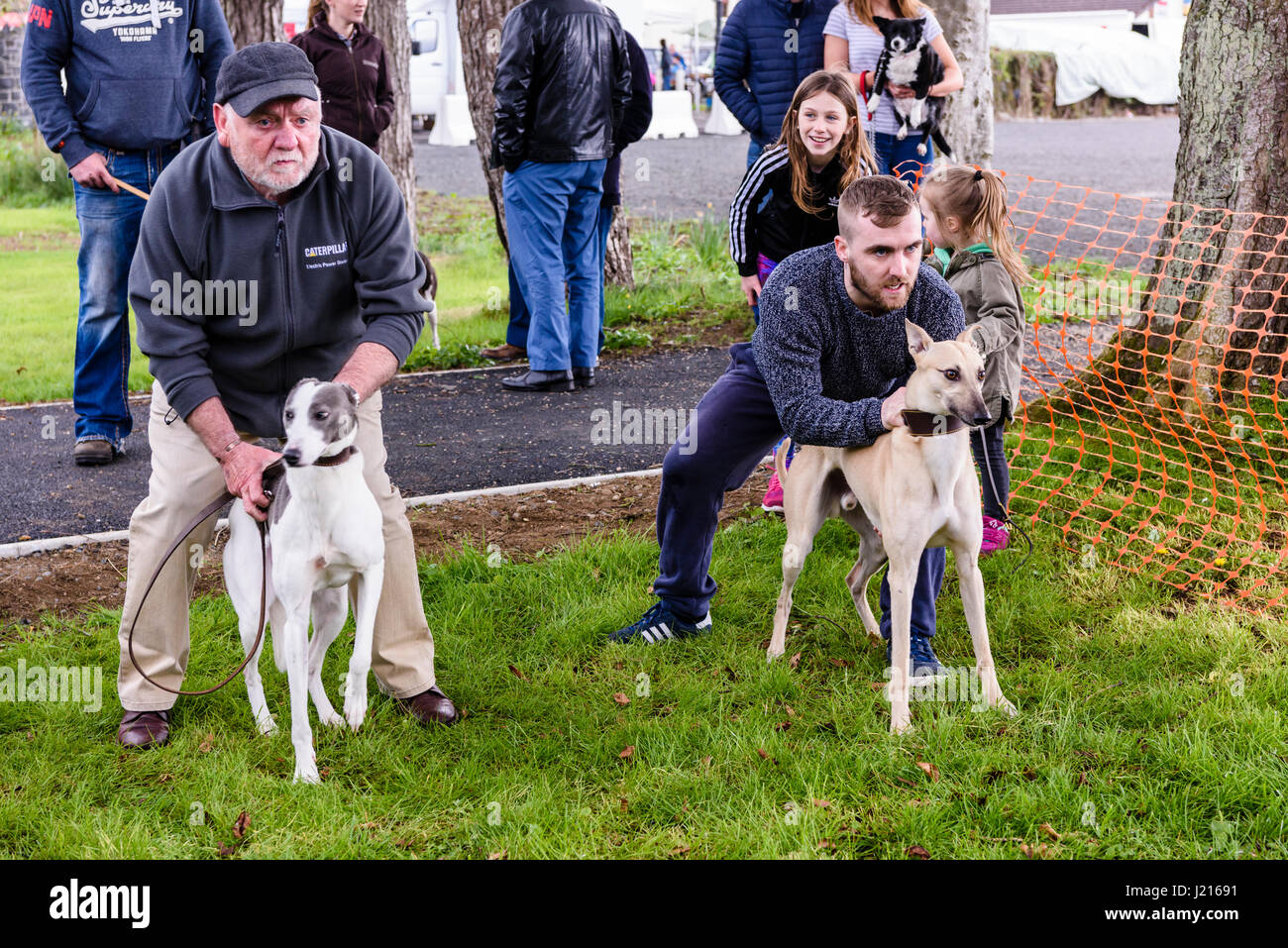 Menschen Rennen Windhunde bei einer Amateur Veranstaltung in Toome, Nordirland. Stockfoto