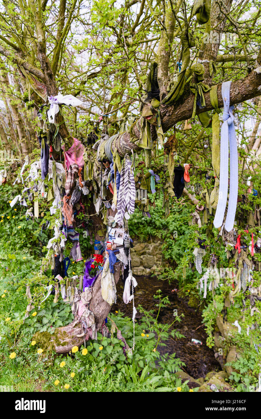 Tuch und andere Gegenstände an einen Baum für Glück bei einem irischen Heiligen Brunnen gebunden. Stockfoto