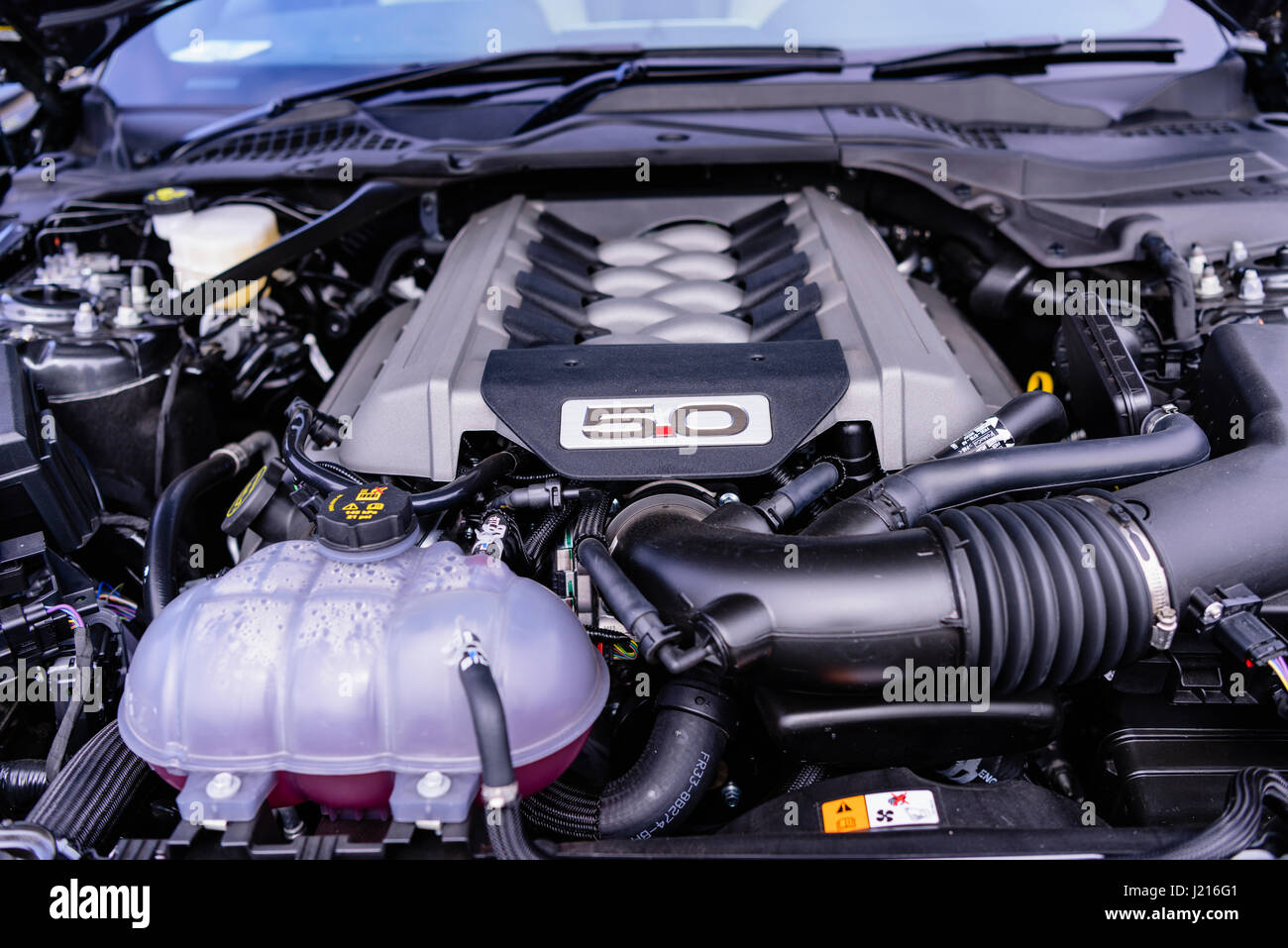 Ford mustang v8 motor -Fotos und -Bildmaterial in hoher Auflösung – Alamy