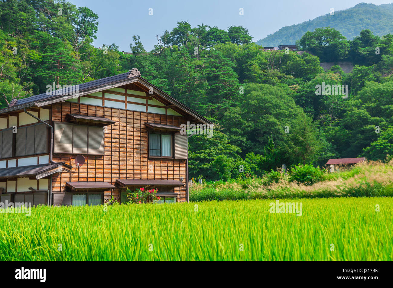 Historischen japanischen Dorf Shirakawago im Frühling Stockfoto