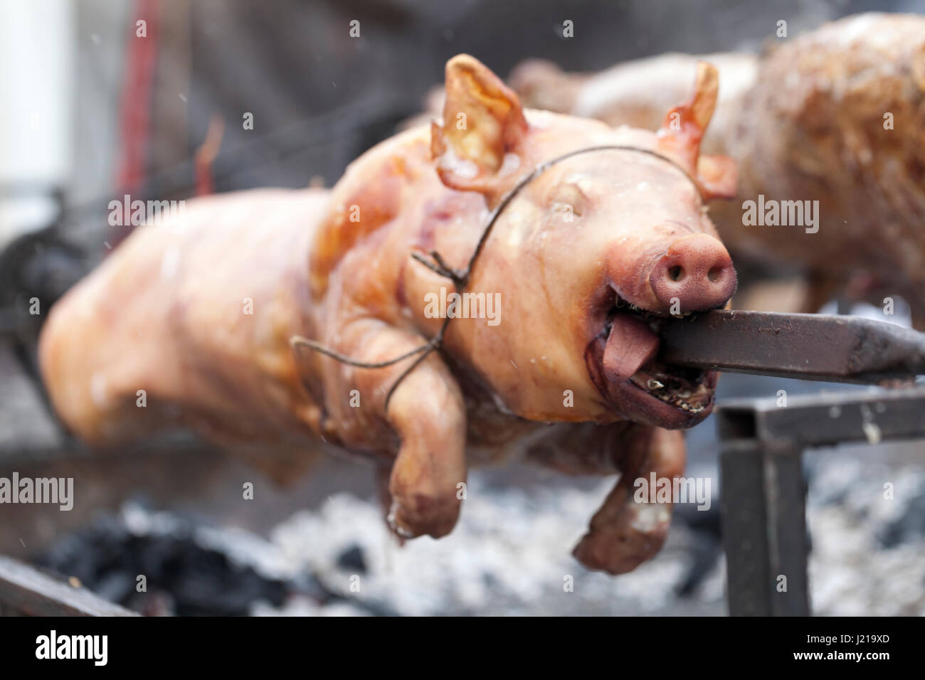 Traditionell Spanferkel am rotierenden Spieß mit dem Feuer Stockfoto