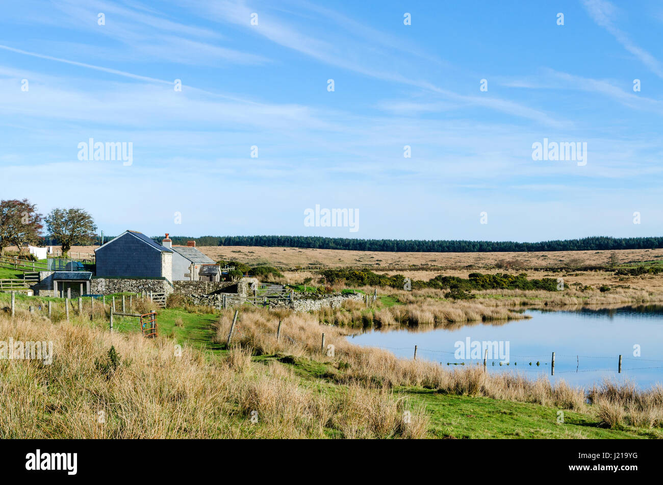 Dozmary Pool auf Bodmin moor in Cornwall, England, Großbritannien, uk Stockfoto