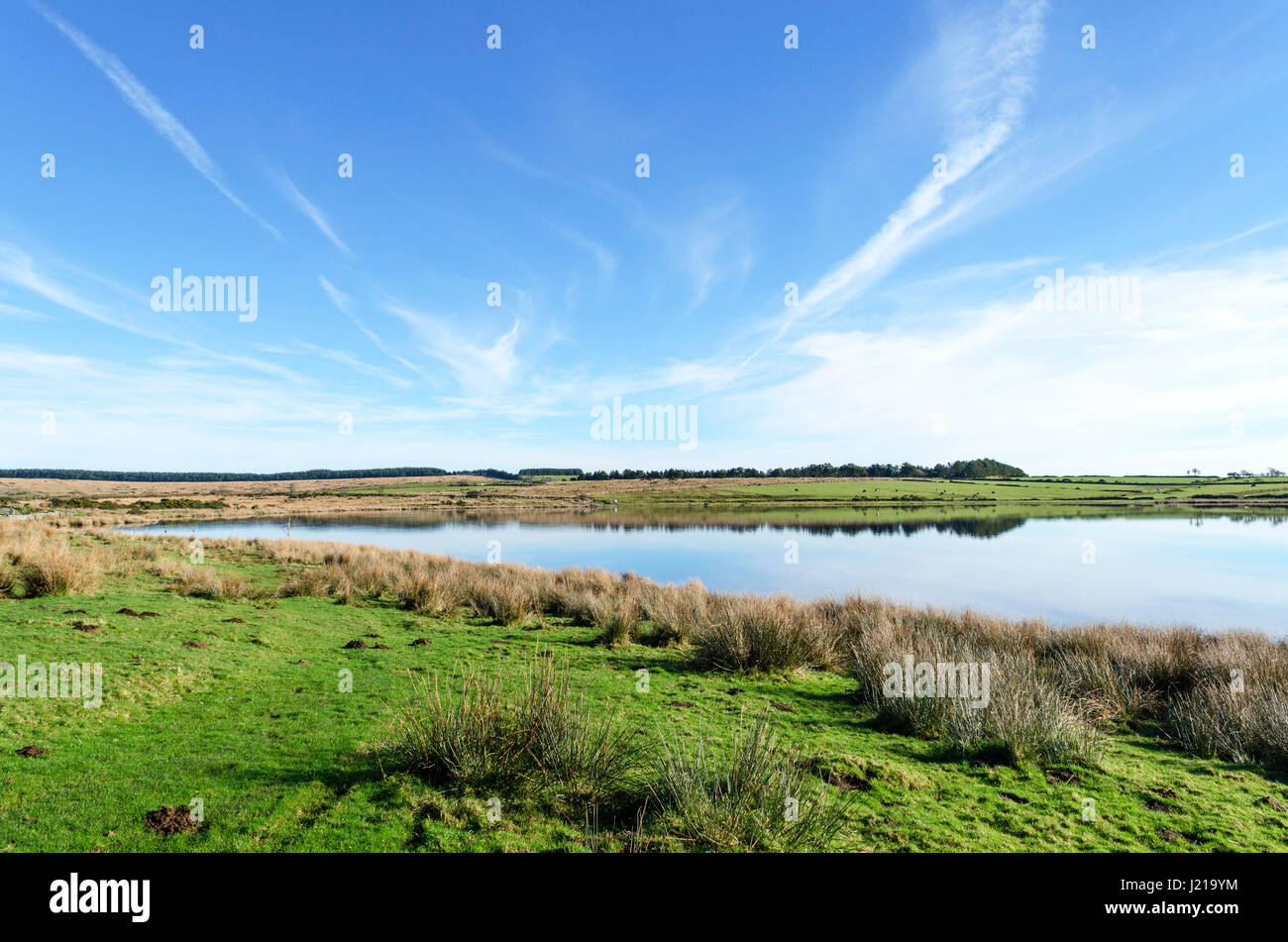 Dozmary Pool auf Bodmin moor in Cornwall, England, uk Stockfoto