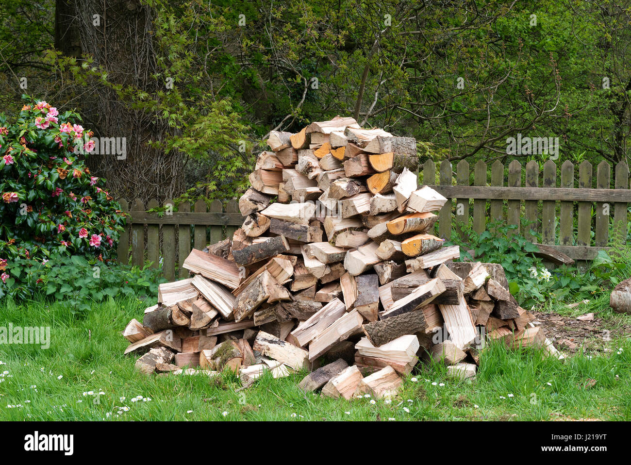 ein Haufen von gehackten Protokolle für Brennholz Stockfoto