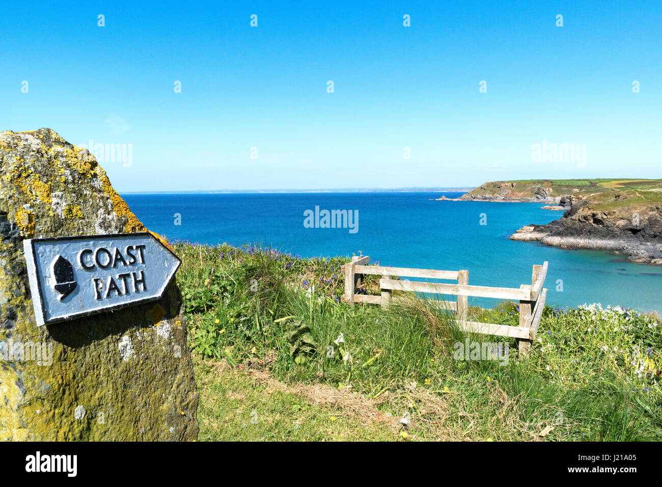 Der Südwest-Küstenpfad an Poldhu in Cornwall, England, Großbritannien, uk. Stockfoto