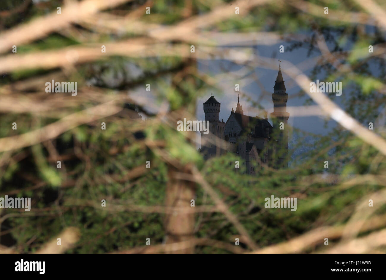 Schwangau, Deutschland. 23. April 2017. Schloss Neuschwanstein ist gegen eine Verdunkelung, bewölkten Himmel durch einen dichten Baumkronen in Schwangau, Deutschland, 23. April 2017 ersichtlich. Foto: Karl-Josef Hildenbrand/Dpa/Alamy Live News Stockfoto