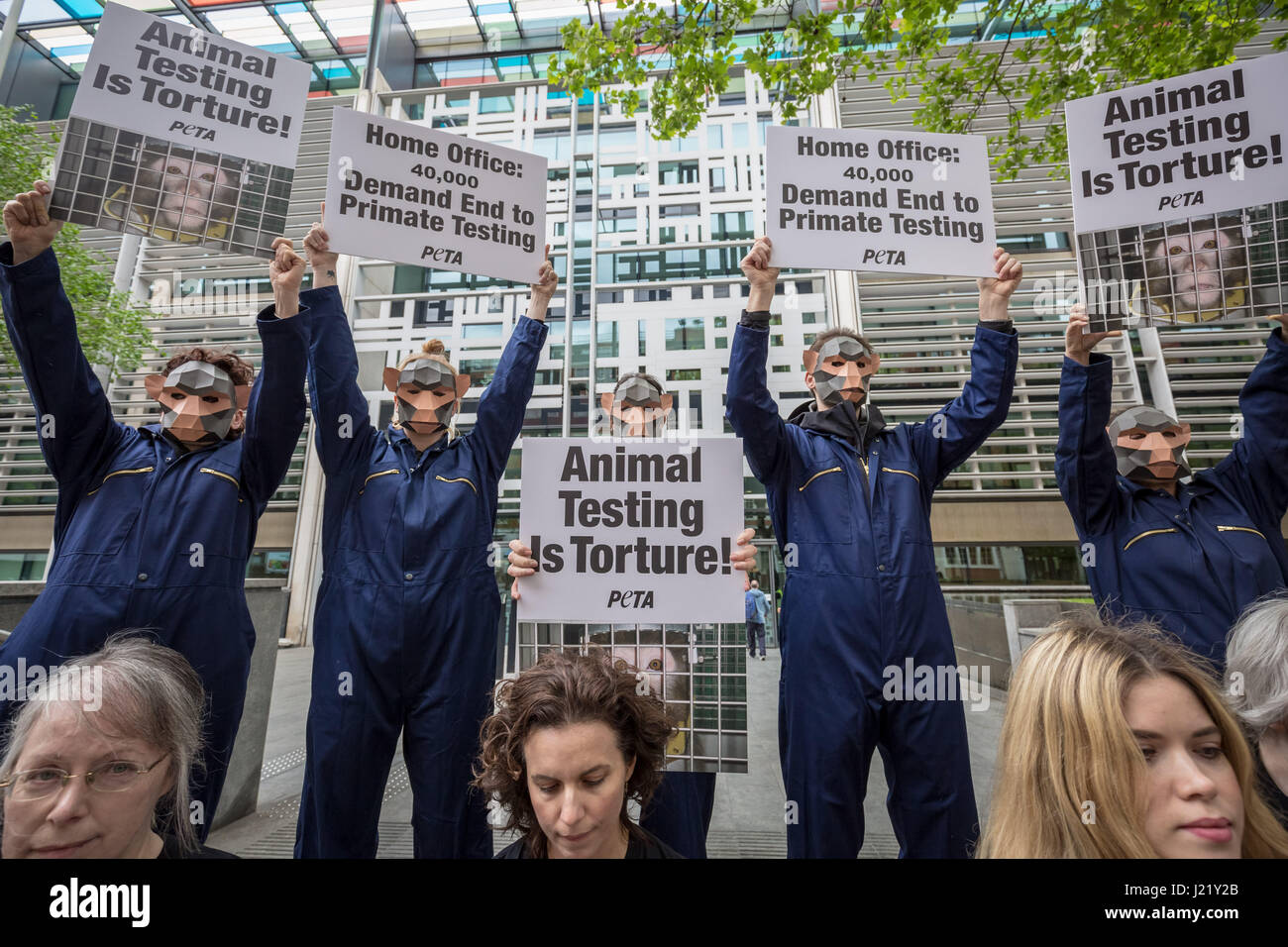 London, UK. 24. April 2017. PETA-Affe-Protest vor dem Innenministerium fordern ein Ende der neurologischen Experimente an Primaten. Bildnachweis: Guy Corbishley/Alamy Live-Nachrichten Stockfoto