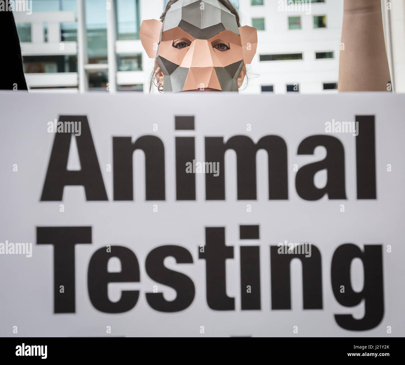 London, UK. 24. April 2017. PETA-Affe-Protest vor dem Innenministerium fordern ein Ende der neurologischen Experimente an Primaten. Bildnachweis: Guy Corbishley/Alamy Live-Nachrichten Stockfoto