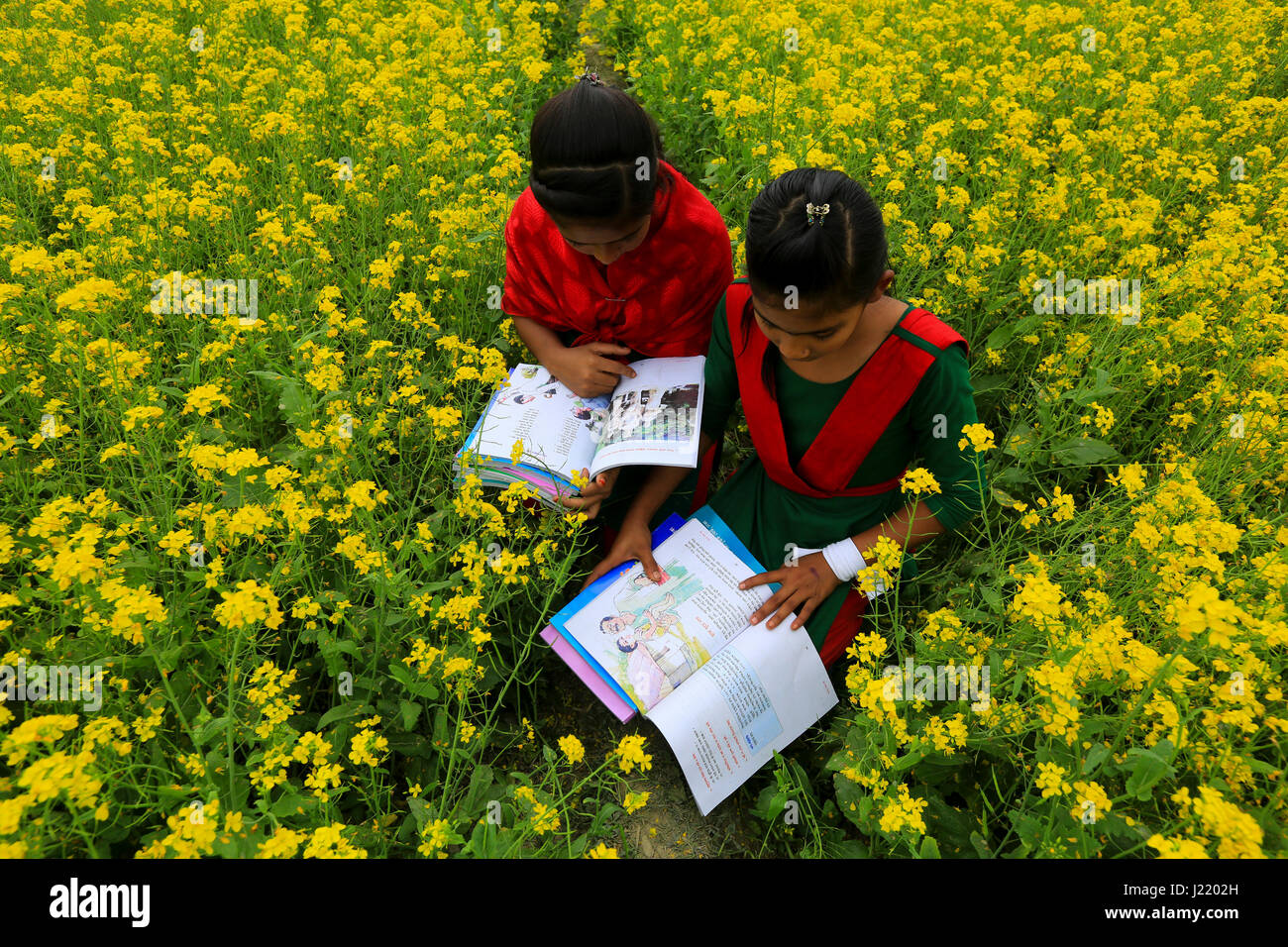 Studenten lesen neue Bücher, wie sie ihre neue Lehrbücher für die neue Klasse am Singair bekommen. Manikganj, Bangladesch Stockfoto