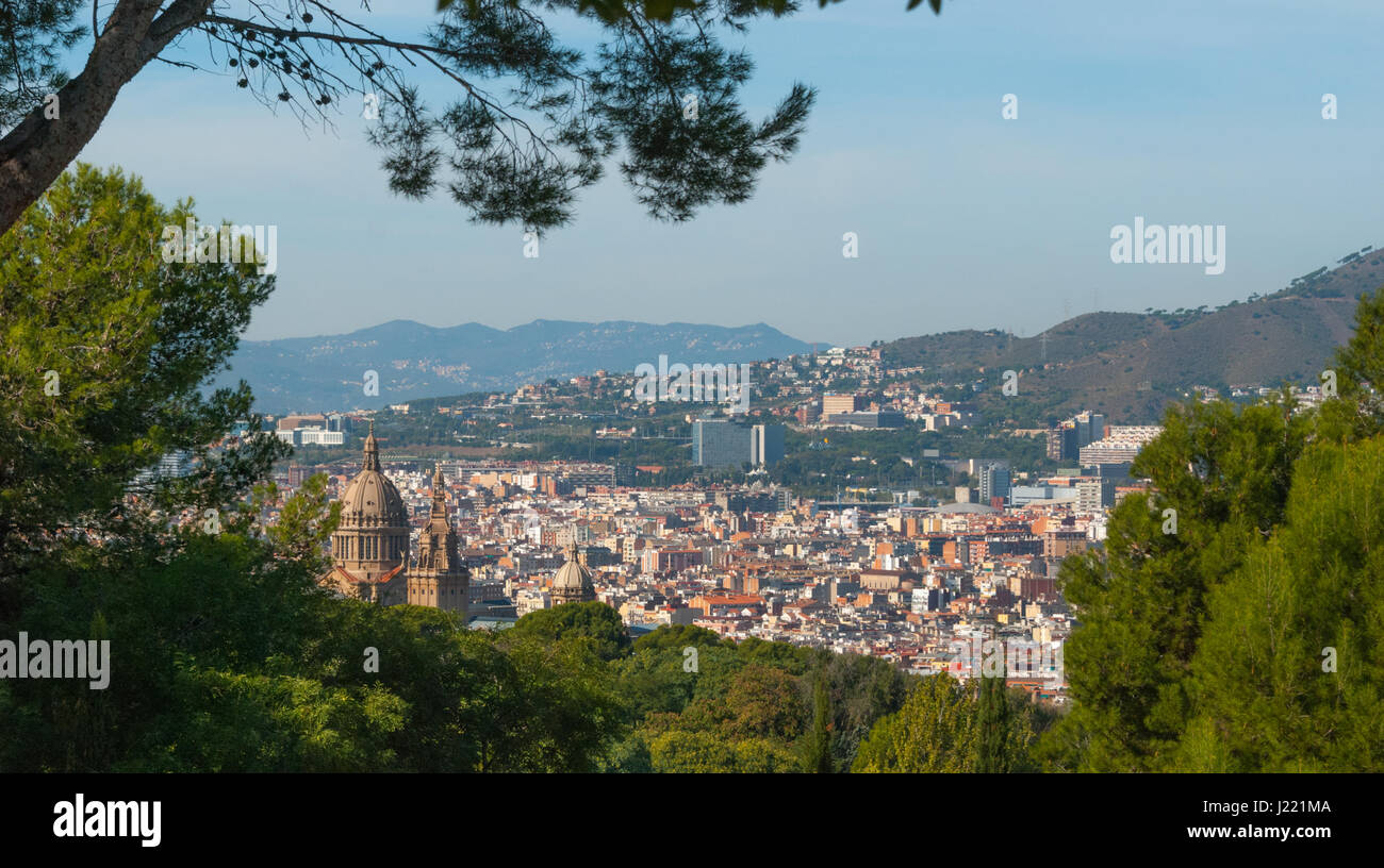 Barcelona Stadtbild Sicht durch Bäume nahe dem Park.  Der Stadt urbane ausgedehnte Dichte von Gebäuden, Wohnungen, Eigentumswohnungen, Kirchen und Nachbarschaften. Stockfoto